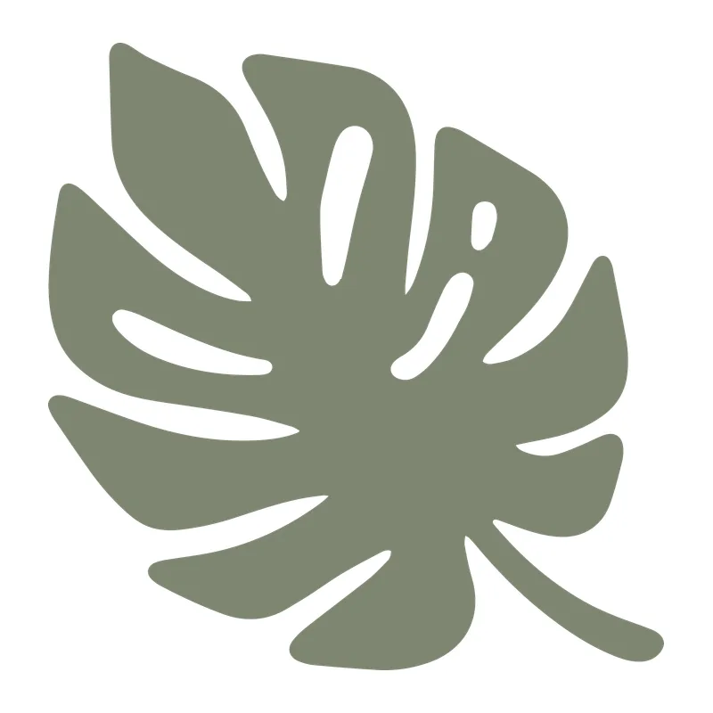 Monstera Leaf