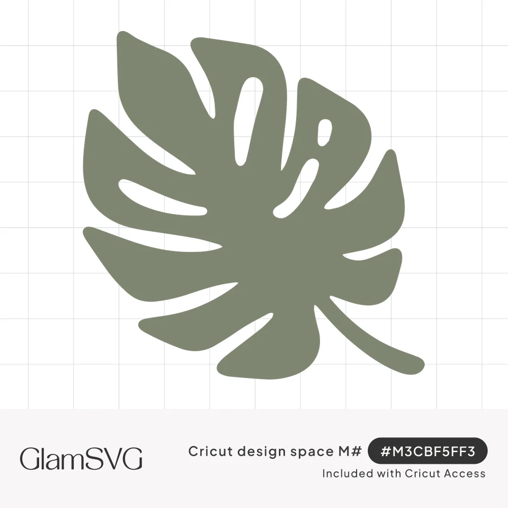 Sage green silhouette of a monstera leaf with split edges, oval holes and a curved stem