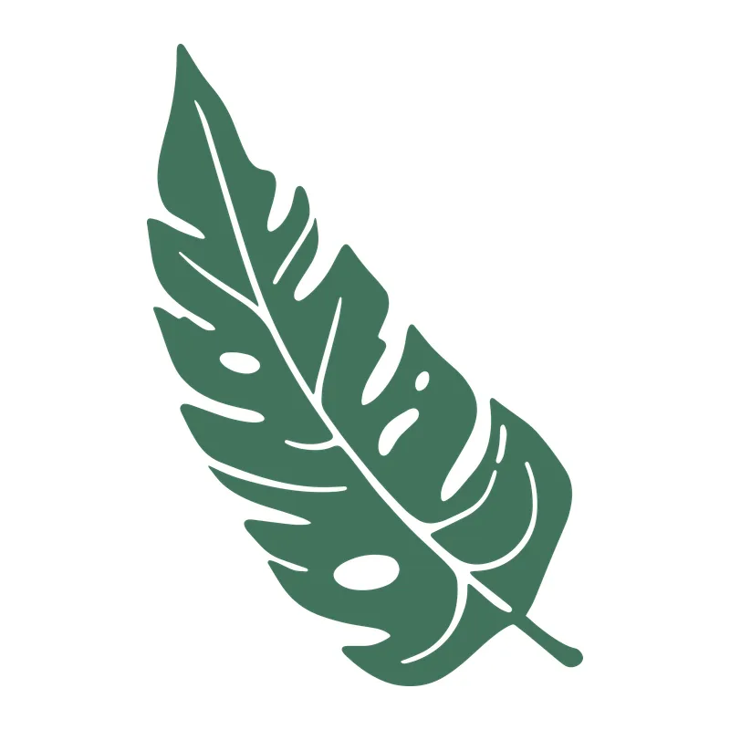 Monstera Leaf
