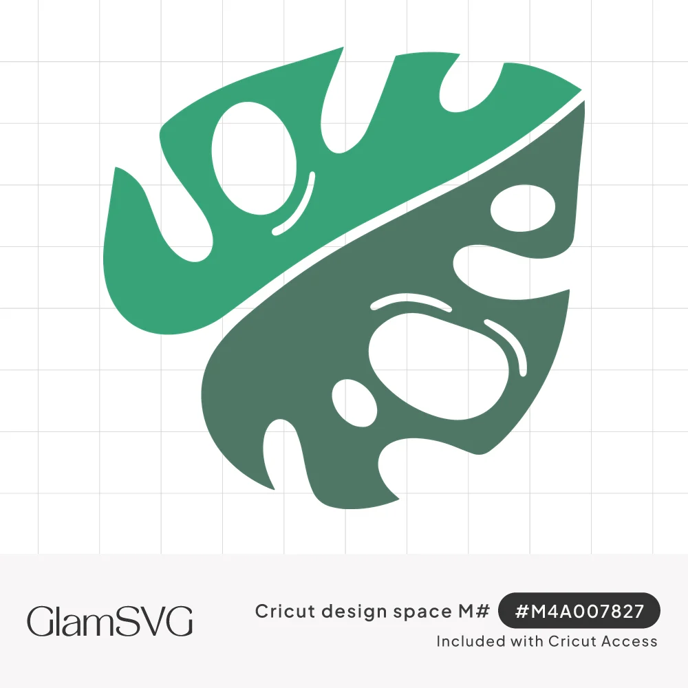 Monstera leaf illustration split diagonally into light and dark green with rounded holes and slits