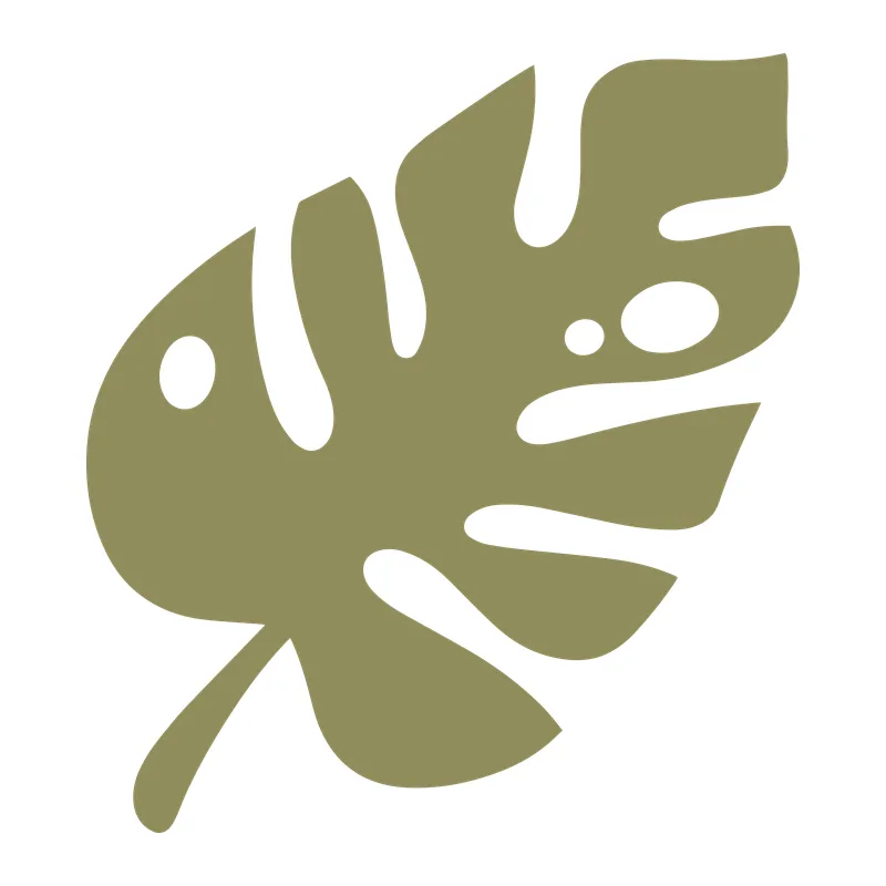 Monstera Leaf
