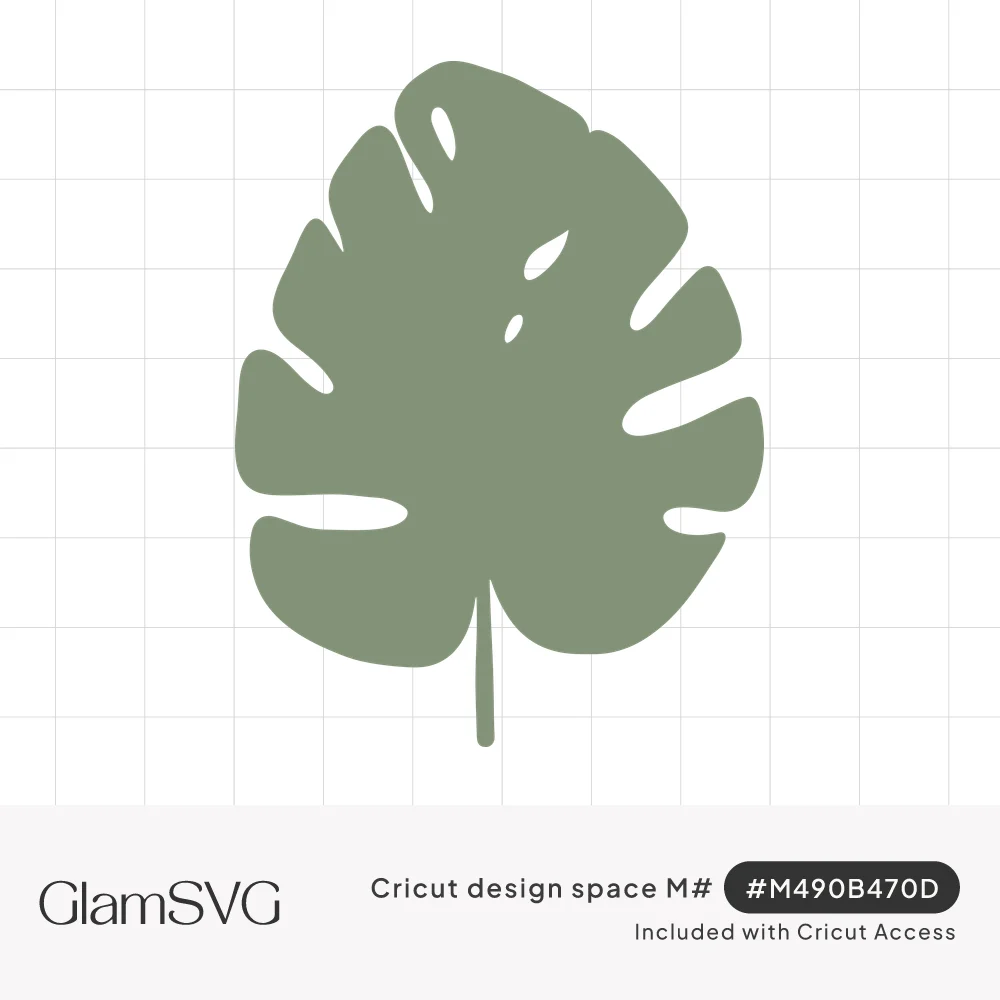 Sage green monstera leaf silhouette with split edges, small holes and a thin stem on a white background