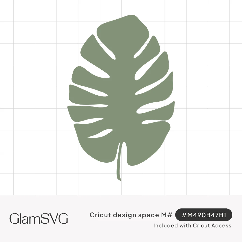 Solid sage green monstera leaf silhouette with deep split edges and a thin curved stem on a white background