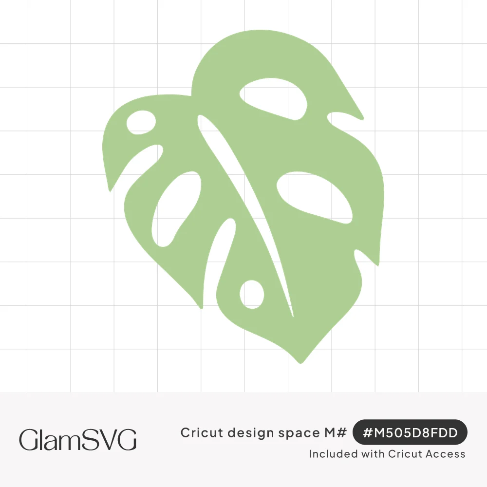 Sage green monstera leaf silhouette with split edges and oval holes, tilted slightly to one side