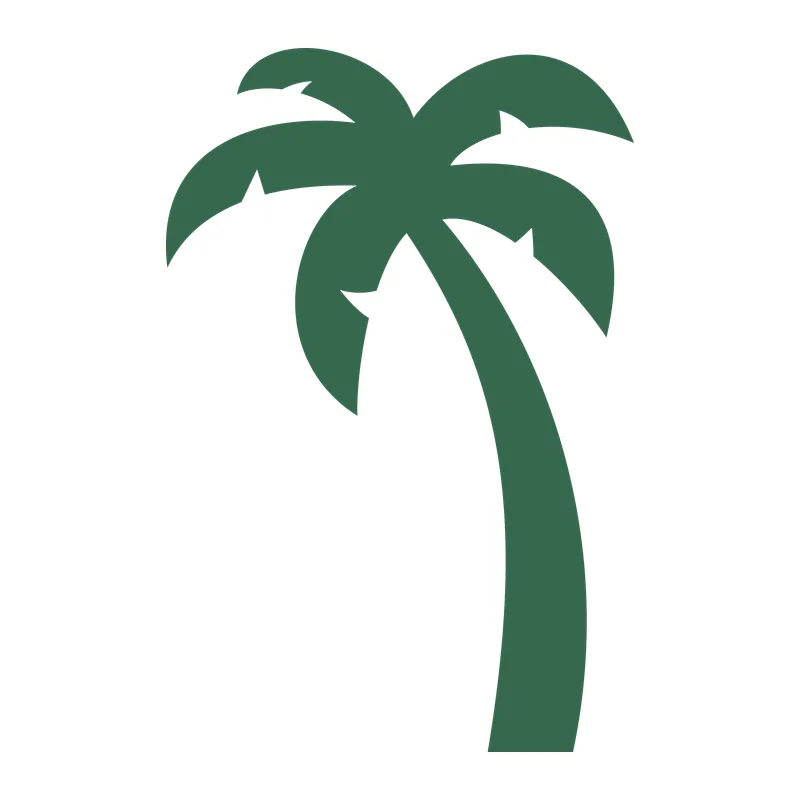 Palm Tree