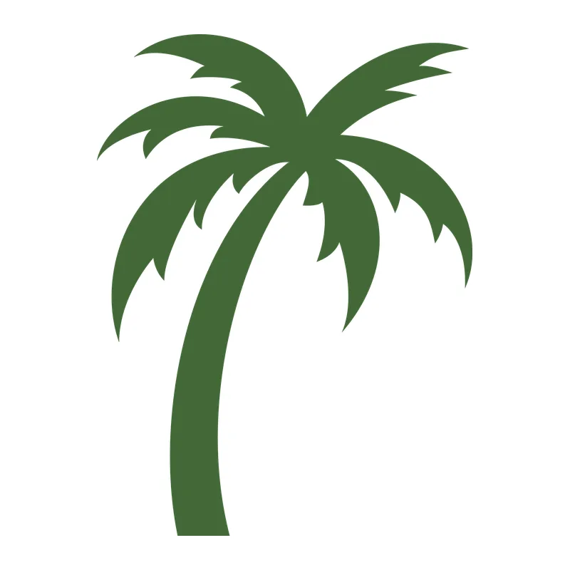 Palm Tree Silhouette