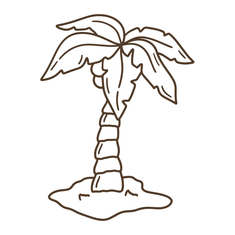 Palm Tree