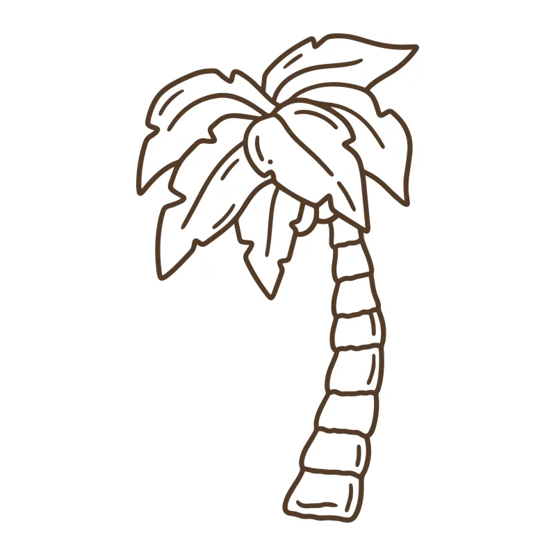 Palm Tree Line Art