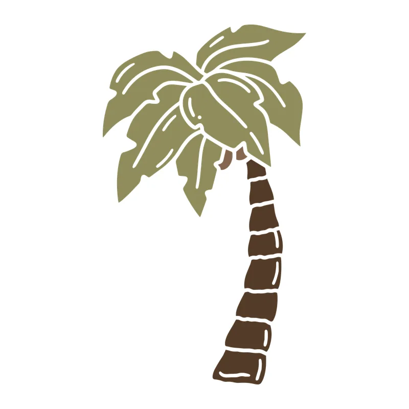Tropical Palm Tree