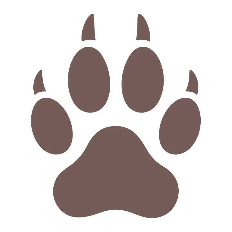 Paw Print With Claws