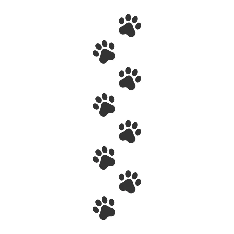 Paw Prints Trail