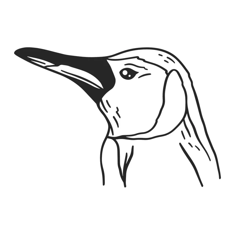 Hand-Drawn Penguin Portrait