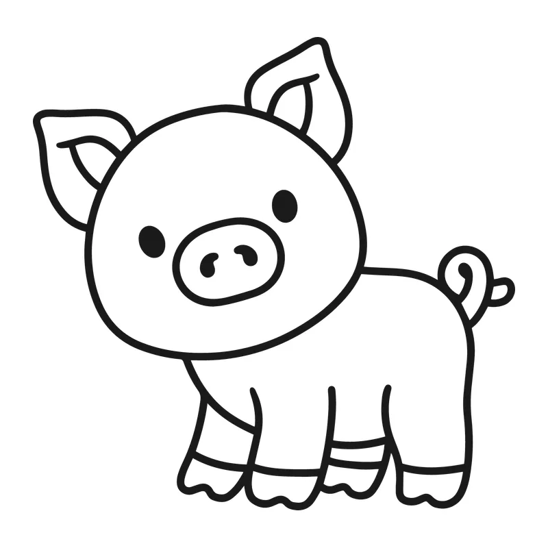 Cute Little Pig