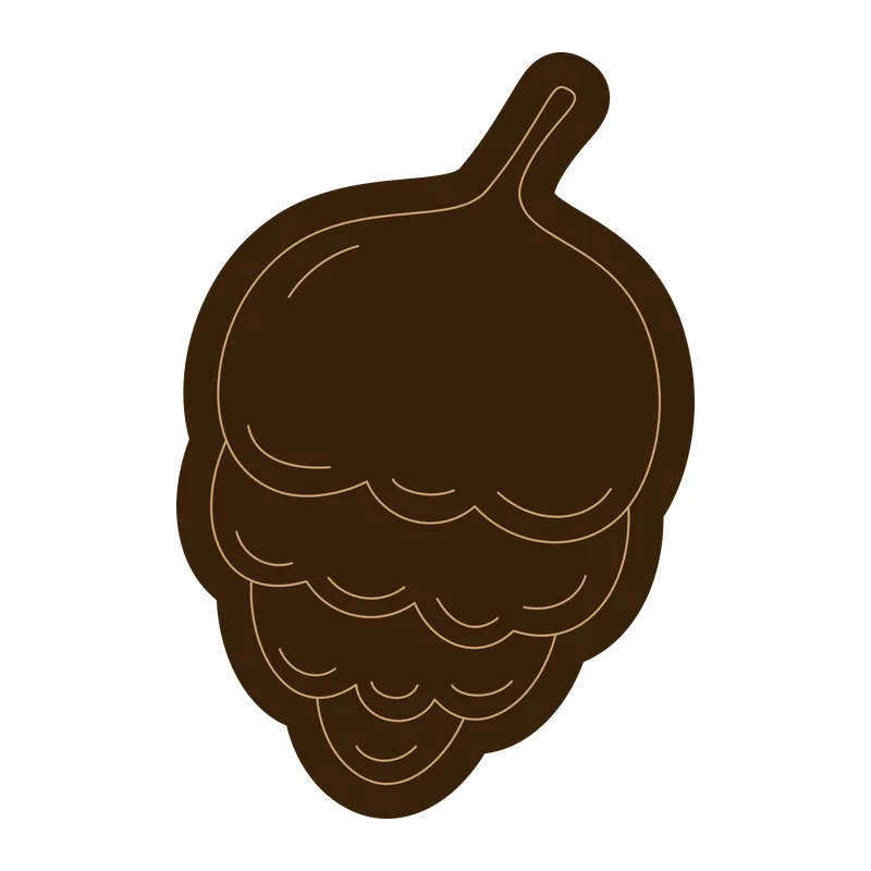 Pine Cone