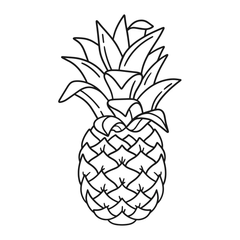 Pineapple Line Art