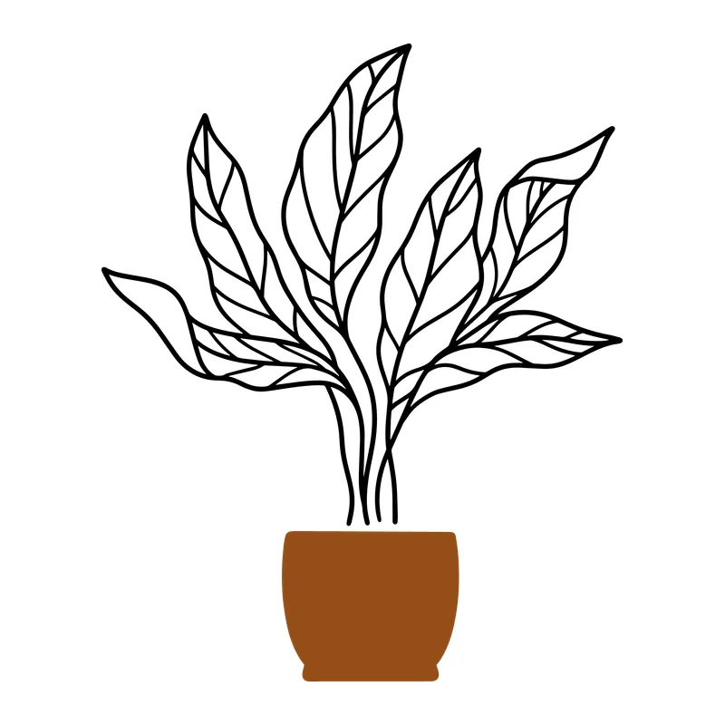 Potted Leafy Houseplant