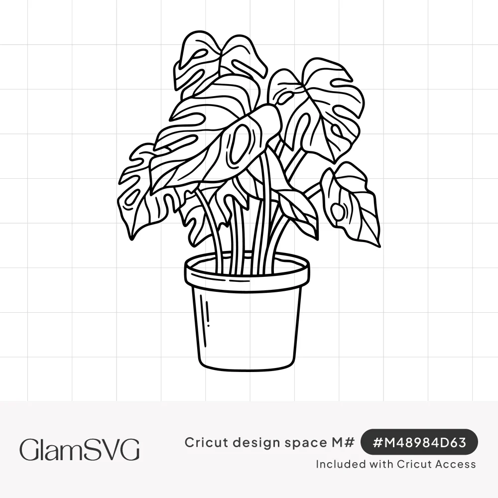 Black line drawing of a monstera deliciosa houseplant with split leaves growing from a round flower pot