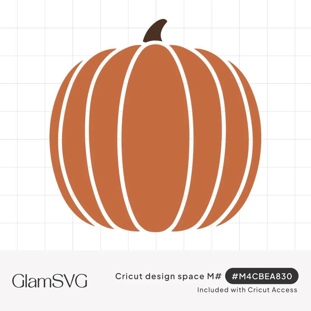Orange pumpkin with rounded segmented ribs separated by white lines and a short dark brown stem