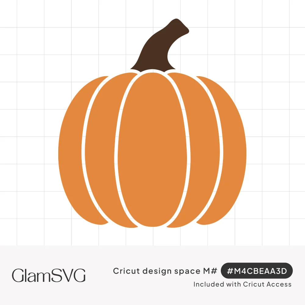 Solid orange pumpkin with five rounded ribs separated by white lines and a curved dark brown stem