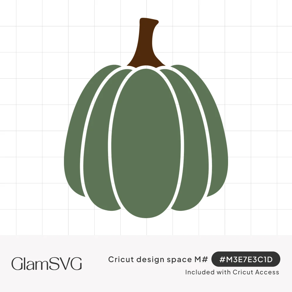 Solid sage green ribbed pumpkin with white gaps between sections and a curved brown stem on a white background