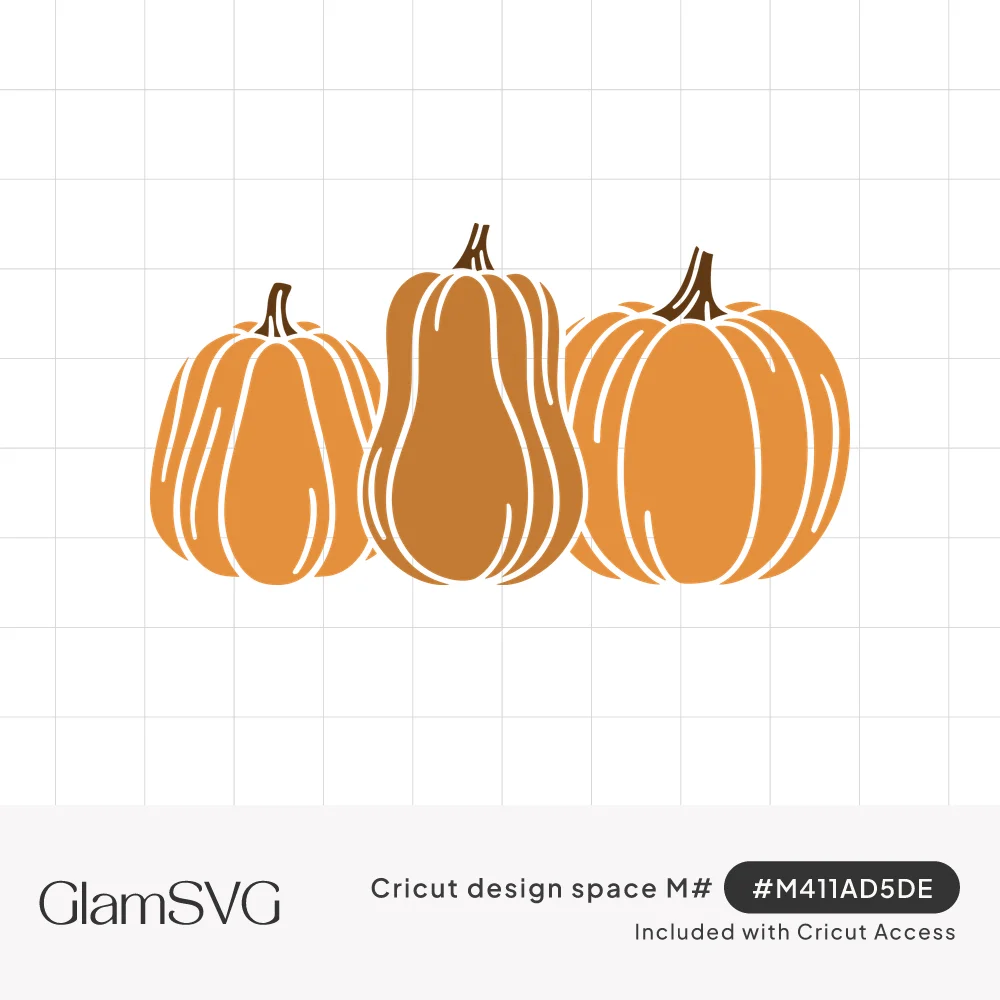 Three orange pumpkins in a row, a tall butternut squash between two round ribbed pumpkins with brown stems