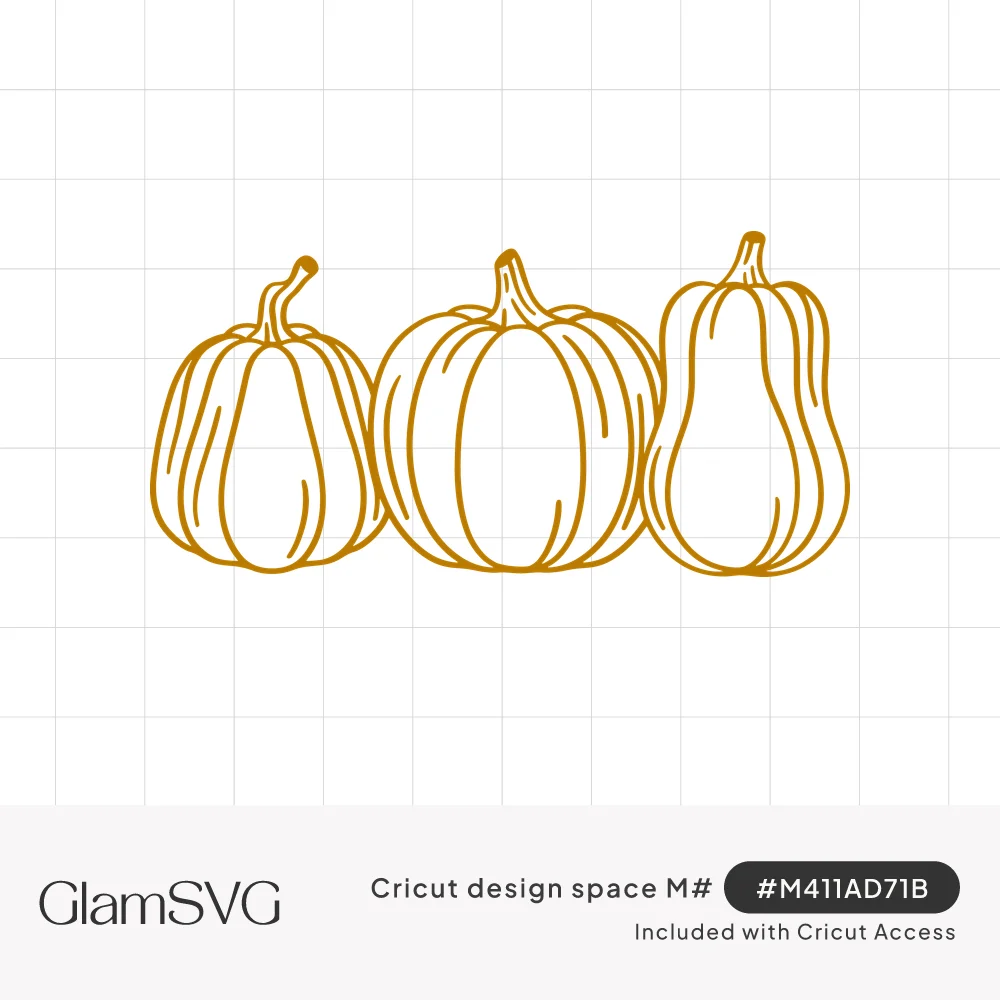 Three line-drawn pumpkins and squash in a row with curved ribs and stems, outlined in golden yellow