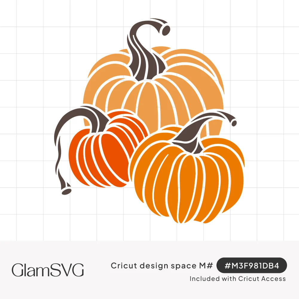 Three orange pumpkins of different sizes and shades grouped together with curly brown stems