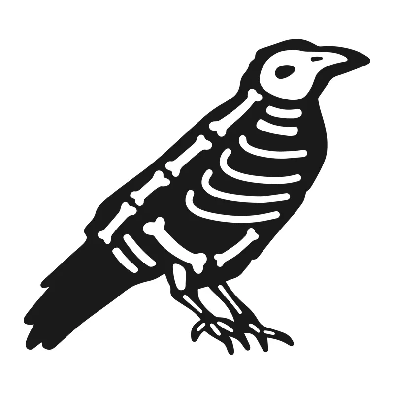Raven Skeleton