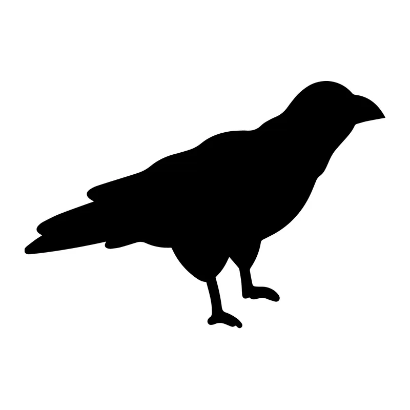Raven Silhouette