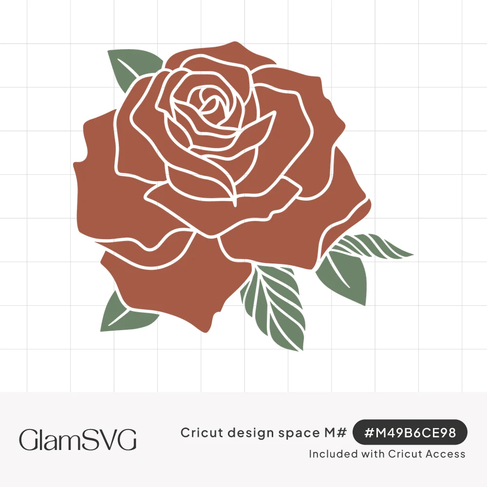 Terracotta rose in full bloom with cream outlined petals and sage green leaves