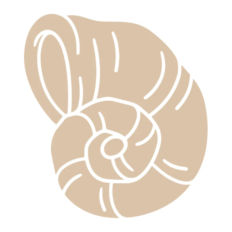 Spiral Seashell