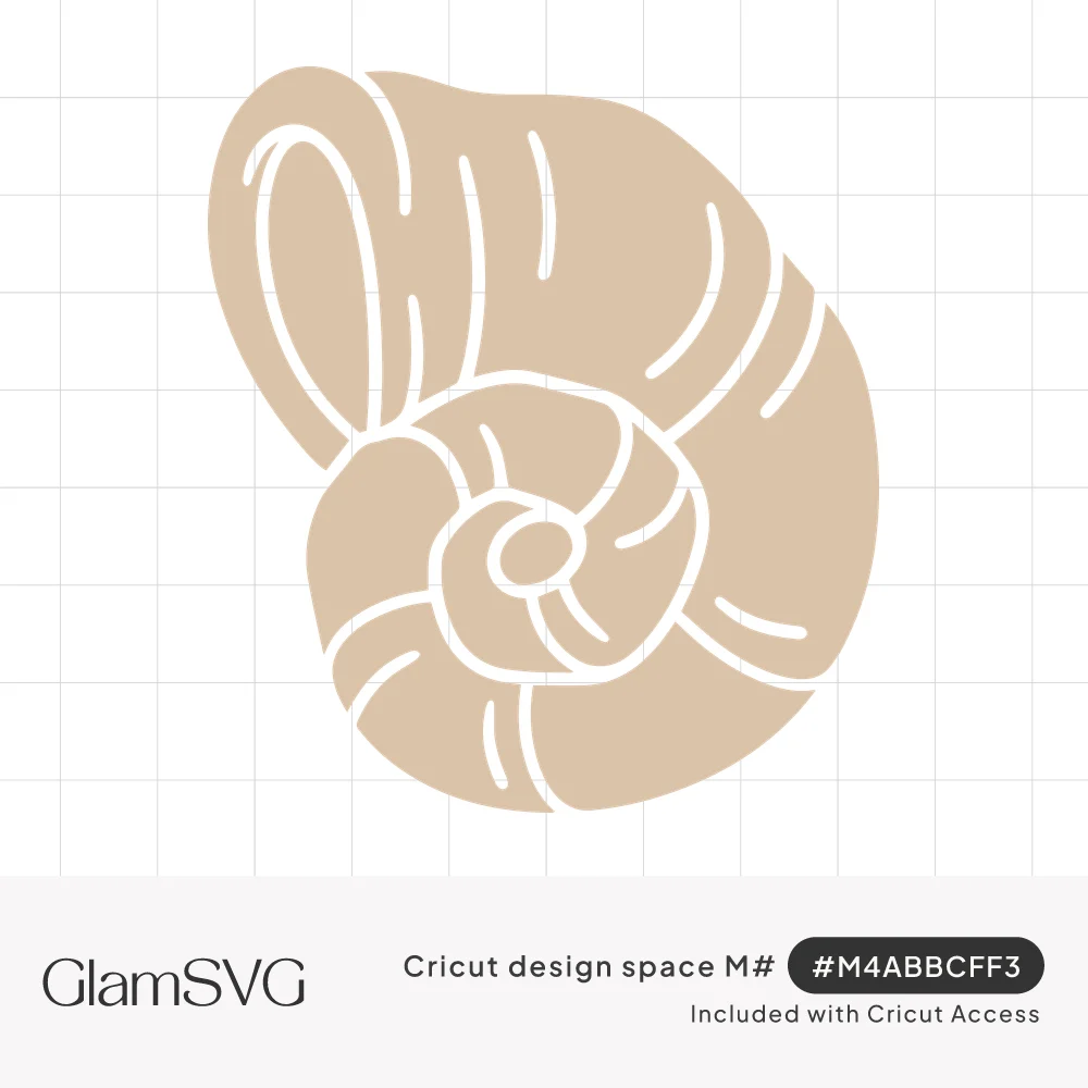 Beige spiral seashell silhouette with white carved lines tracing its whorls and ridges