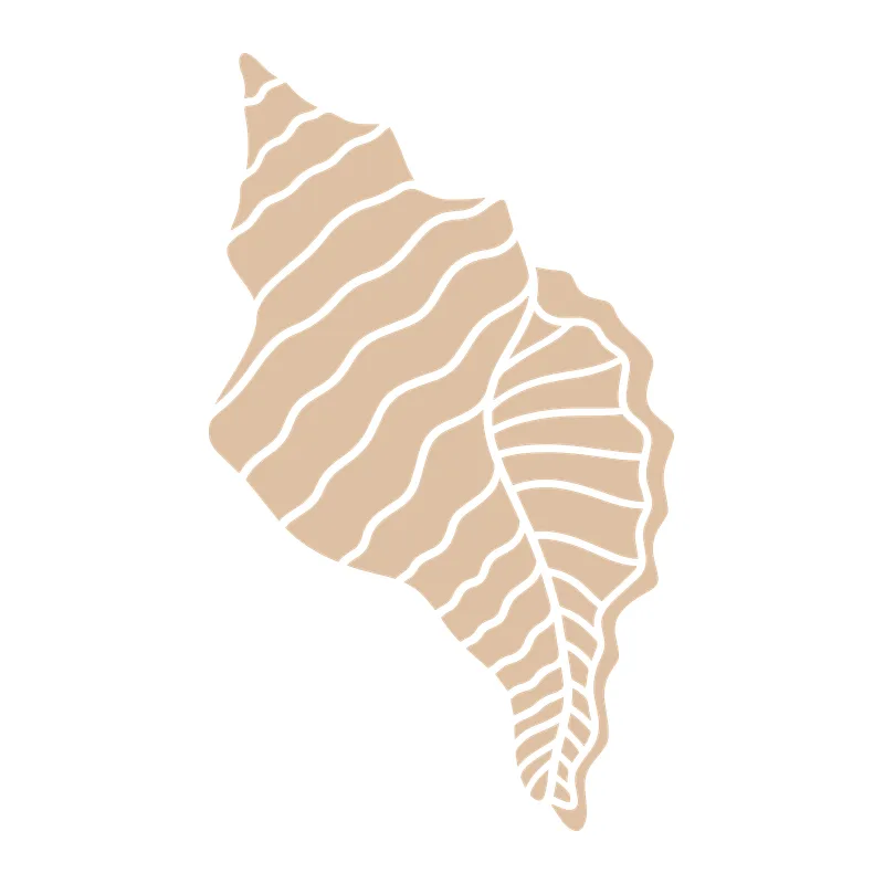 Conch Seashell Silhouette