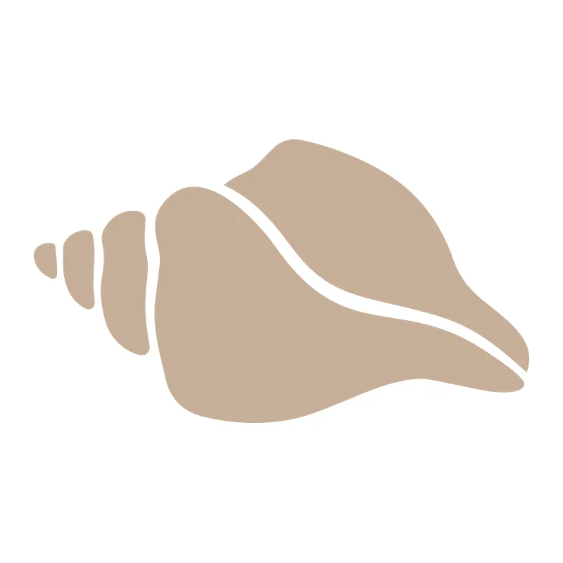 Conch Seashell
