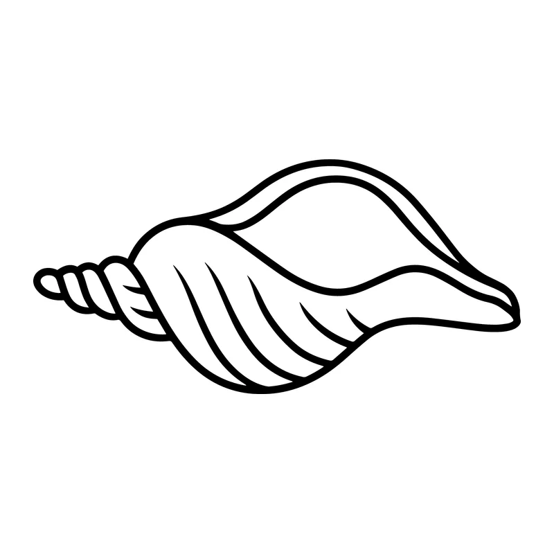 Conch Seashell Outline