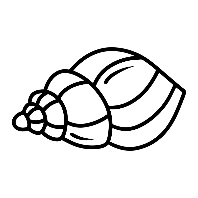 Spiral Conch Seashell