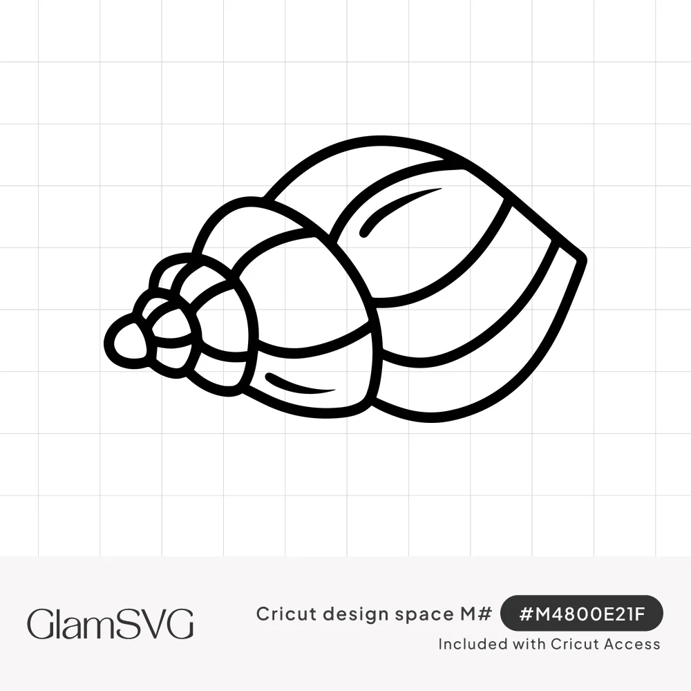 Black outline drawing of a spiral seashell with rounded whorls tapering to a pointed tip and small highlight marks