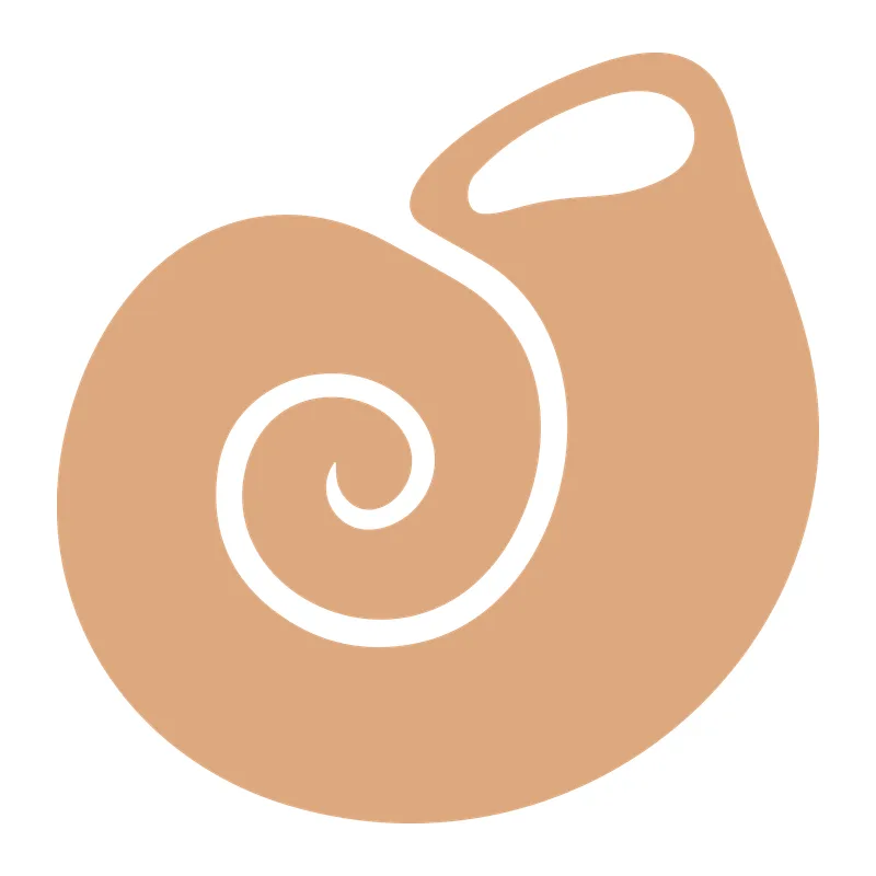 Spiral Seashell