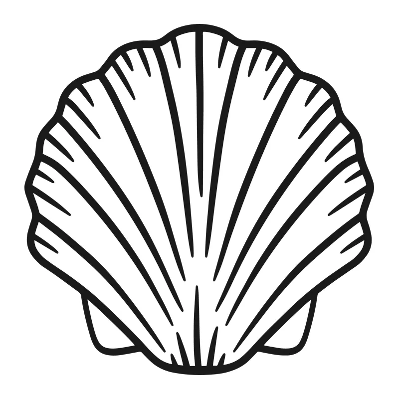 Scallop Seashell