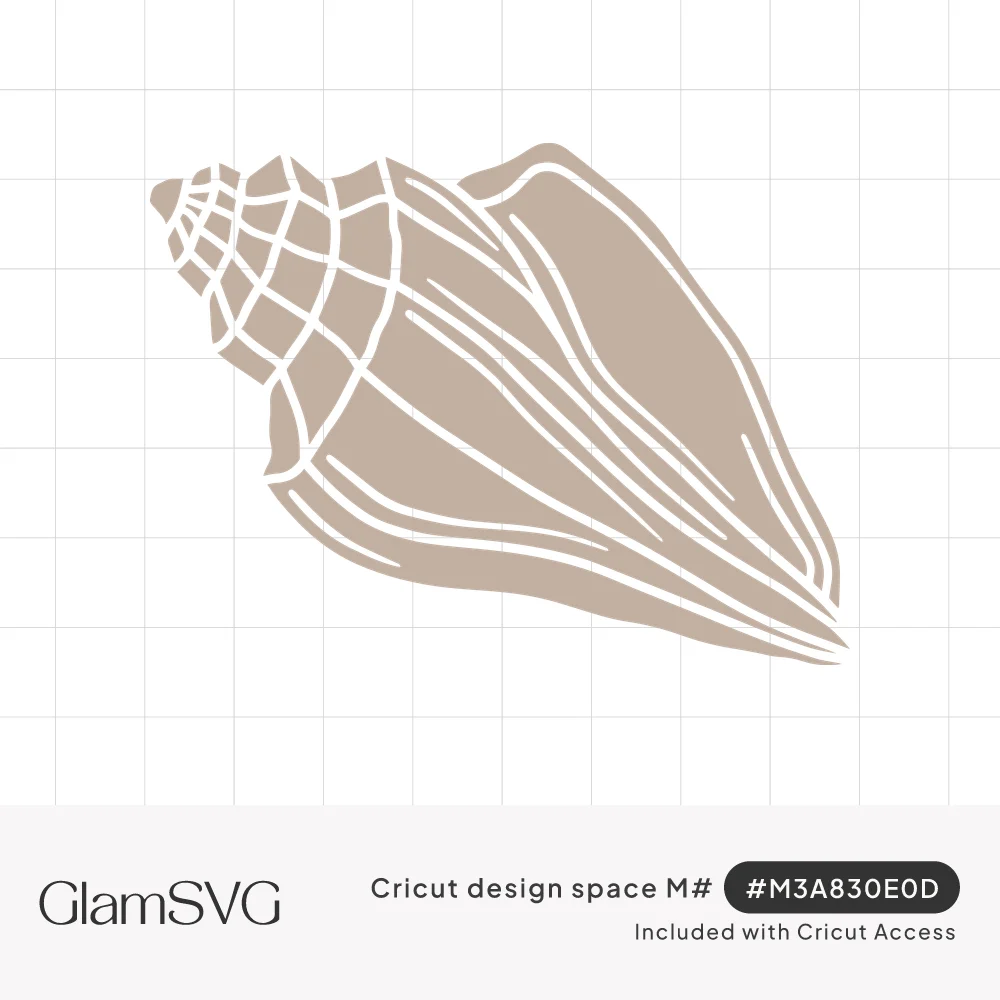 Taupe silhouette of a conch seashell lying on its side with white flowing line details across its spiral and body
