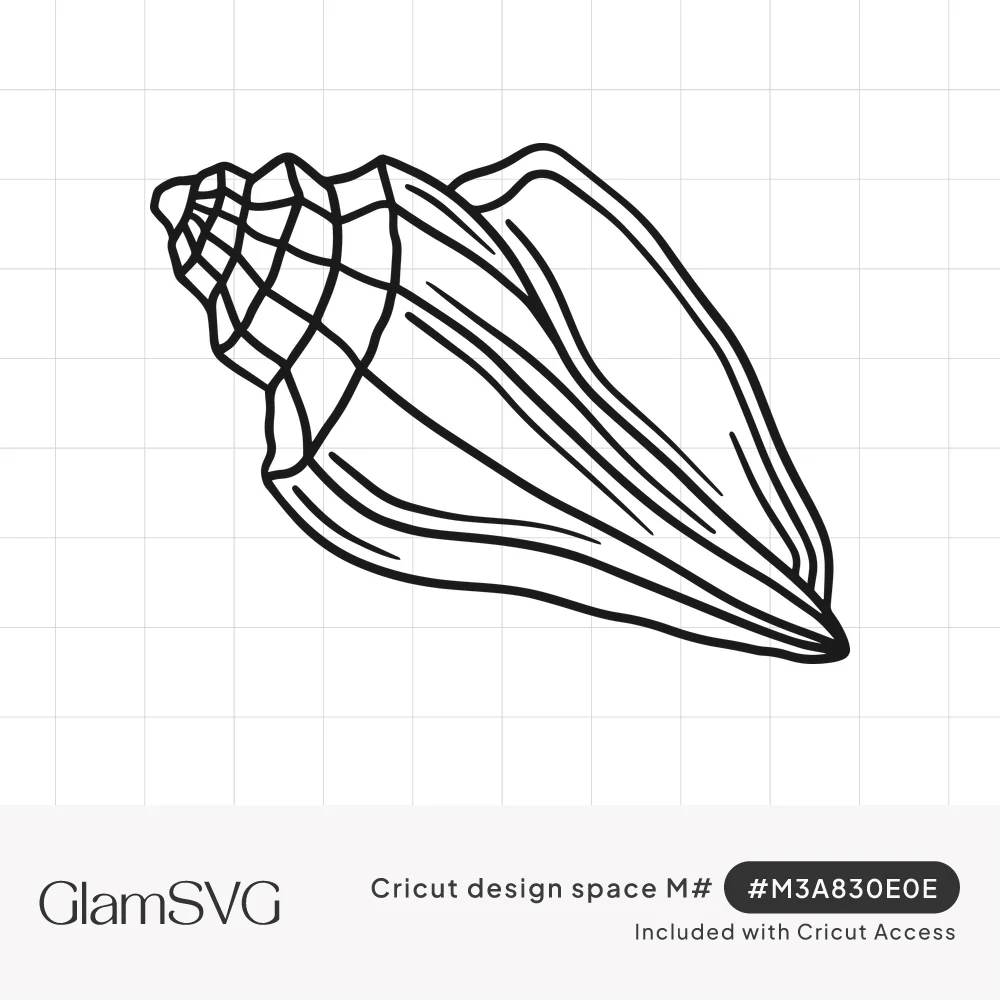 Black line drawing of a conch seashell with a spiraled ridged tip and long curved body lines on a white background