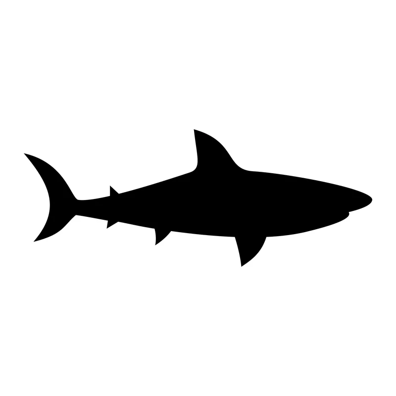Shark Silhouette