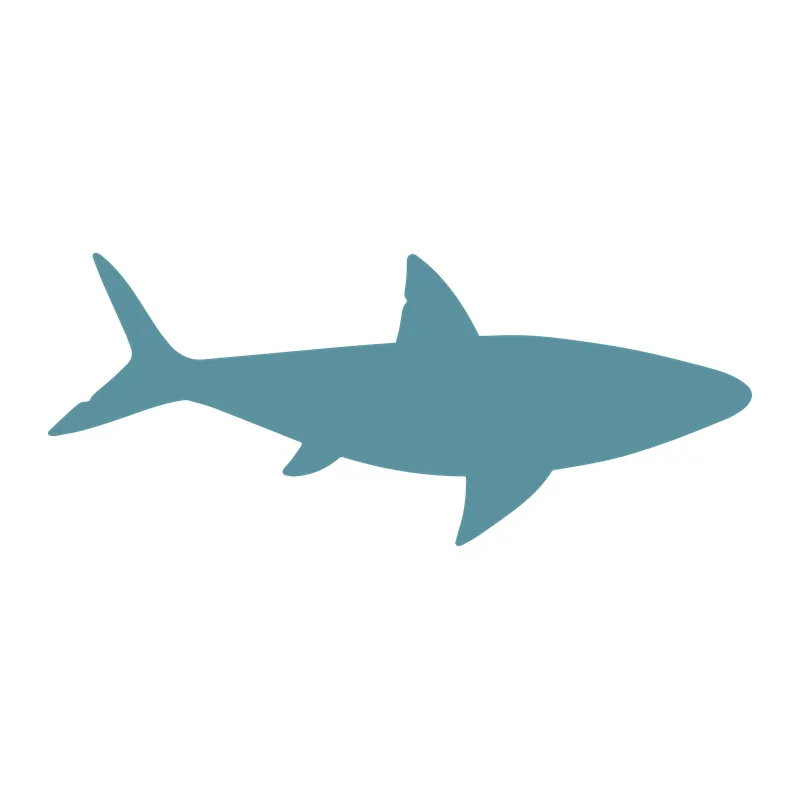 Shark Silhouette