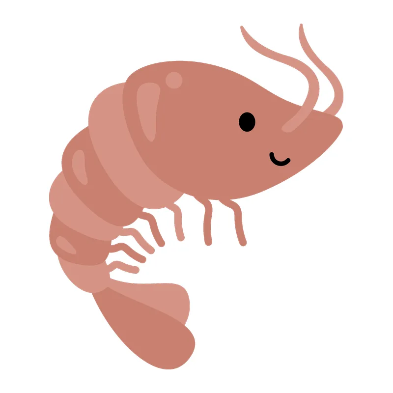 Smiling Pink Shrimp