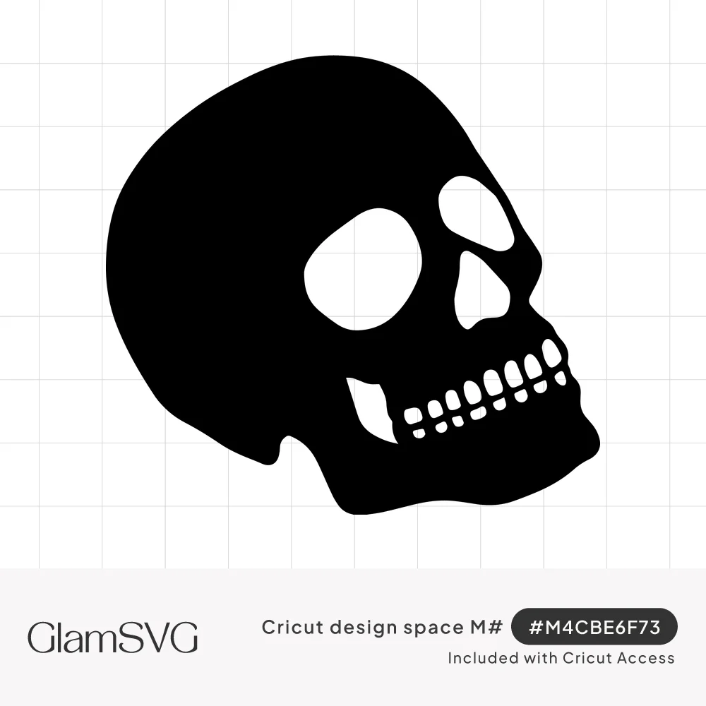 Black skull silhouette in three-quarter profile with white cut-out eye sockets, nasal opening and teeth