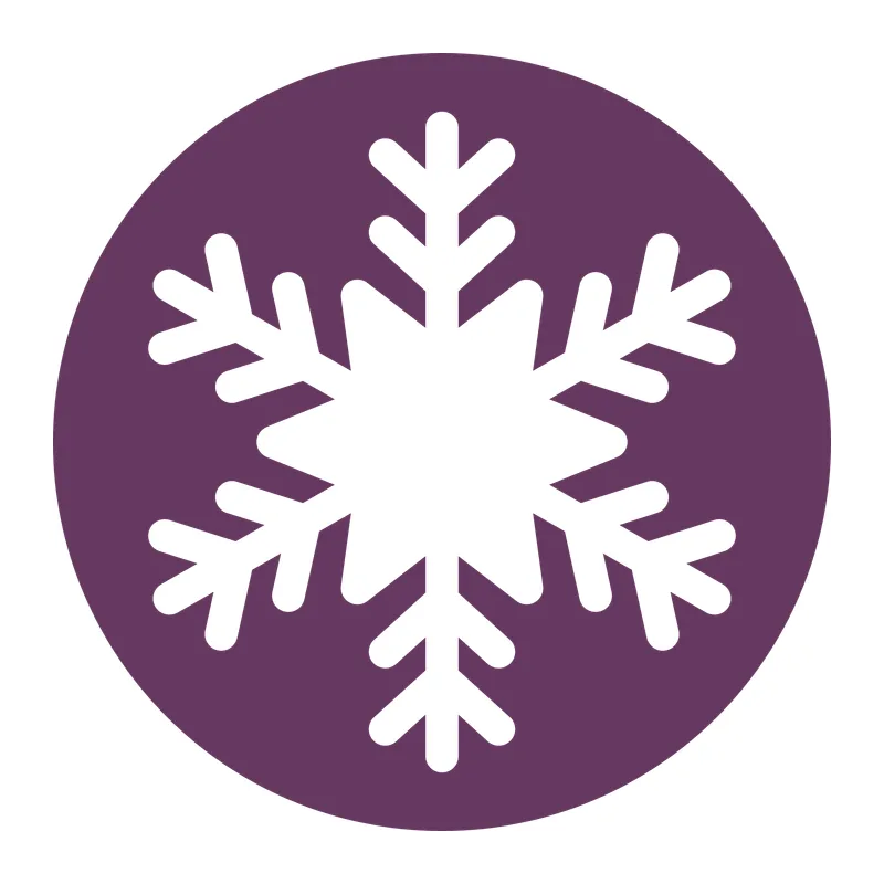 Snowflake Circle Badge