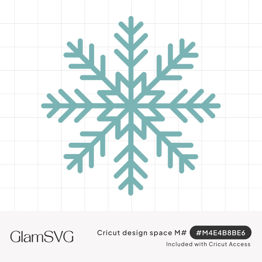 Teal six-pointed snowflake with branching arms and a star-shaped center on a white background