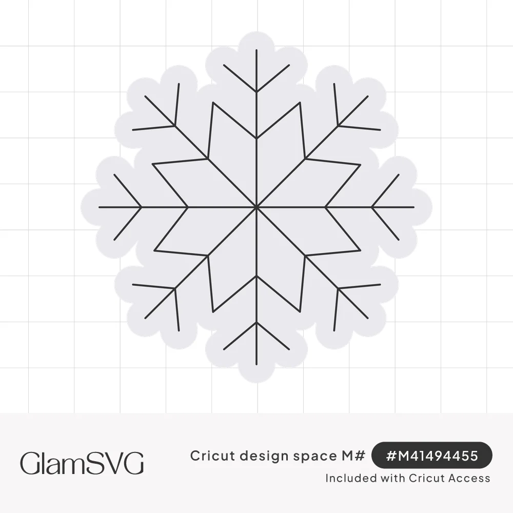 Six-pointed snowflake with a rounded scalloped outline and thin branching lines radiating from the center