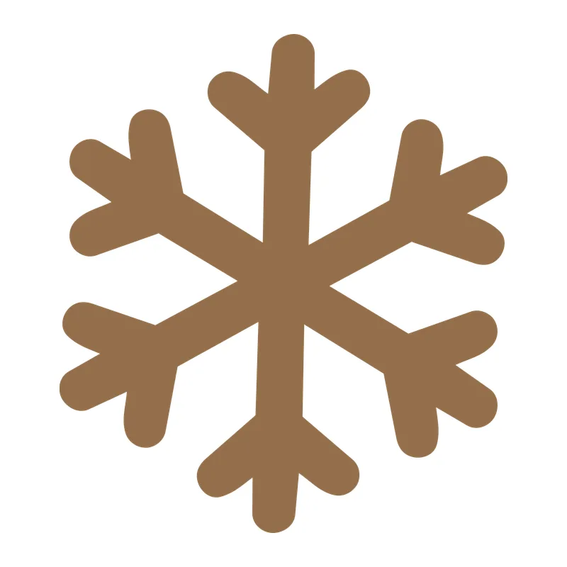 Simple Snowflake