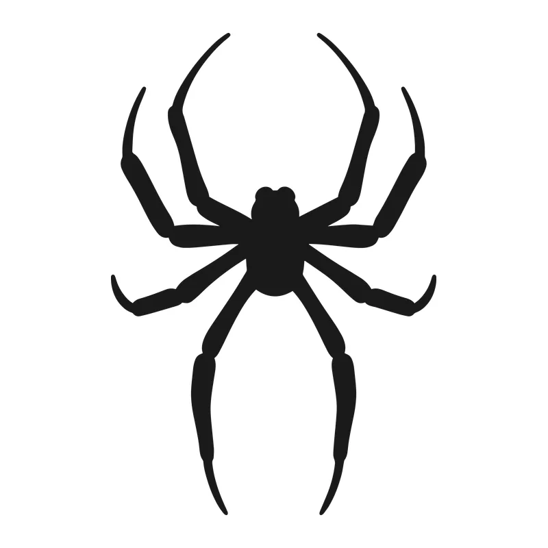 Spider Silhouette